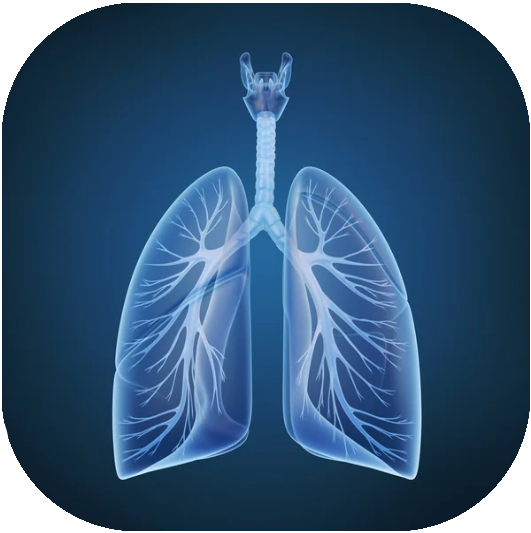 Respiratory