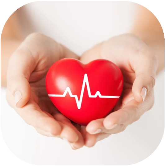Cardiology