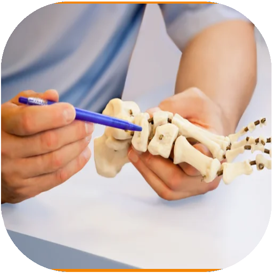 Orthopedic